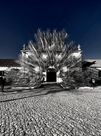 Photo for Ai Weiwei, Forever Bicycles